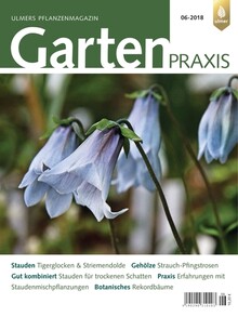 Cover Gartenpraxis 06/2018