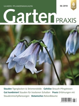 Cover Gartenpraxis 06/2018