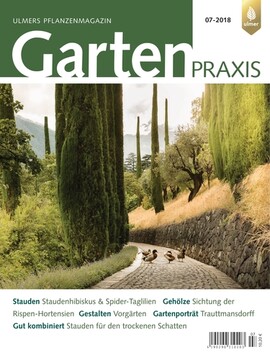 Cover Gartenpraxis 07/2018