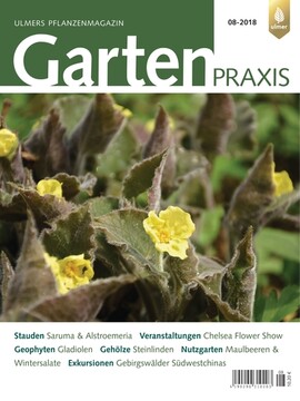 Cover Gartenpraxis 08/2018