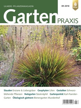 Cover Gartenpraxis 09/2018