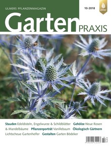 Cover Gartenpraxis 10/2018