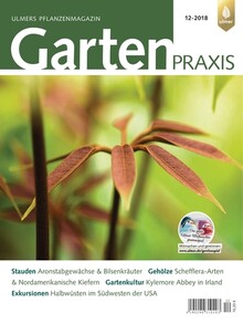 Cover Gartenpraxis 12/2018