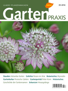 Cover Gartenpraxis 05/2016