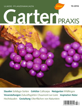 Cover Gartenpraxis 10/2016