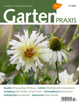 Cover Gartenpraxis 11/2016