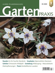 Cover Gartenpraxis 03/2020