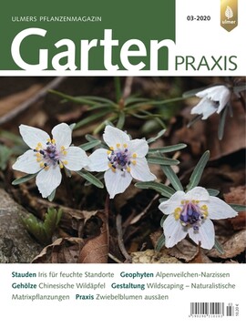 Cover Gartenpraxis 03/2020