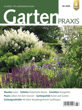 Cover Gartenpraxis 06/2020