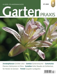 Cover Gartenpraxis 07/2020