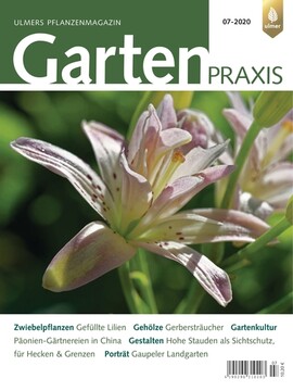 Cover Gartenpraxis 07/2020