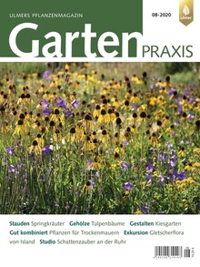 Cover Gartenpraxis 08/2020