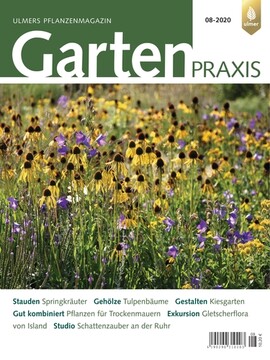 Cover Gartenpraxis 08/2020