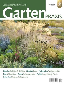 Cover Gartenpraxis 10/2020