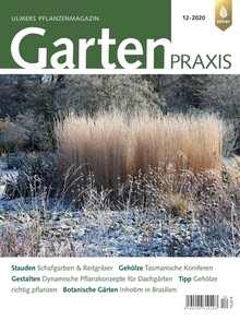 Cover Gartenpraxis 12/2020