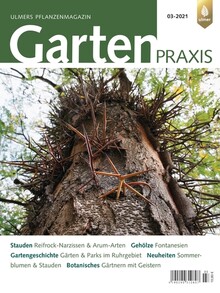 Cover Gartenpraxis 03/2021