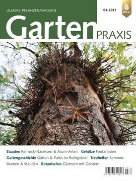 Cover Gartenpraxis 03/2021