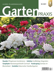 Cover Gartenpraxis 04/2021