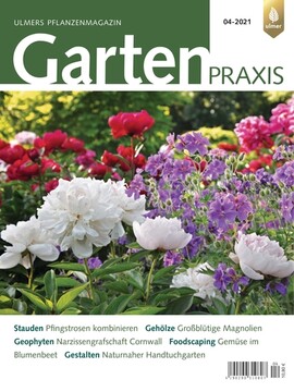 Cover Gartenpraxis 04/2021