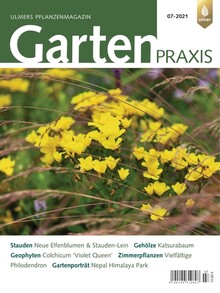 Cover Gartenpraxis 07/2021