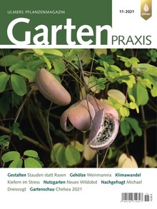 Cover Gartenpraxis 11/2021