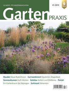 Cover Gartenpraxis 01/2019