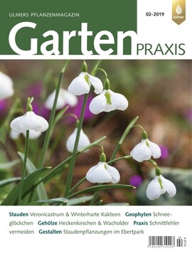 Cover Gartenpraxis 02/2019