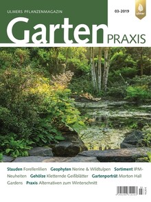 Cover Gartenpraxis 03/2019