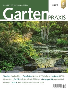 Cover Gartenpraxis 03/2019