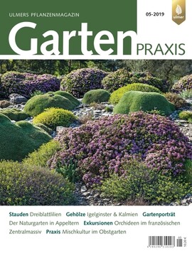 Cover Gartenpraxis 05/2019