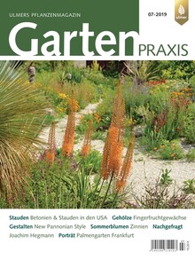 Cover Gartenpraxis 07/2019