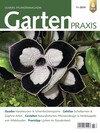 Cover Gartenpraxis 11/2019