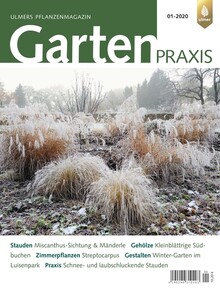 Cover Gartenpraxis 01/2020