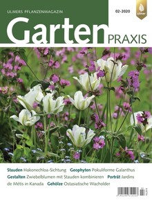 Cover Gartenpraxis 02/2020