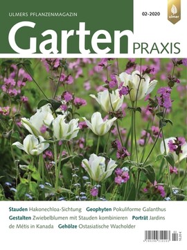 Cover Gartenpraxis 02/2020