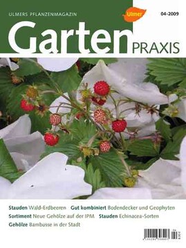 Cover Gartenpraxis 04/2009