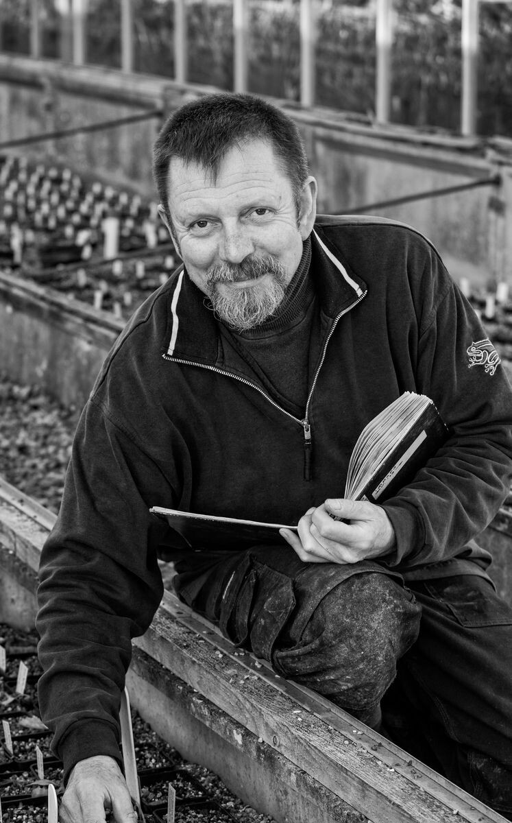 Plantsman Alan Street verstorben Gartenpraxis