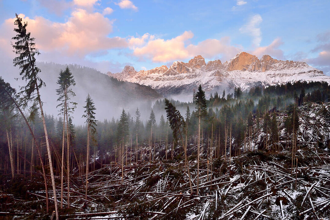 Der Fotograf Alberto Ceolan gewann mit seinem Foto "The Vaia Storm" den IGPOTY 2020.
