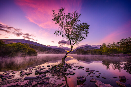 In der Kategorie Breathing Spaces kam das Foto The Lone Tree von Andrea Graham auf den ersten Platz, fotografiert im Eryri (Snowdonia) National Park, Wales, das eine mystische Morgenstimmung am See Llyn Padarn einfngt.