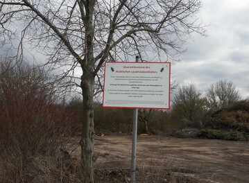 Bekmpfung ist Pflicht: Asiatischer Laubholzbockkfer als EU-Quarantneschdling.