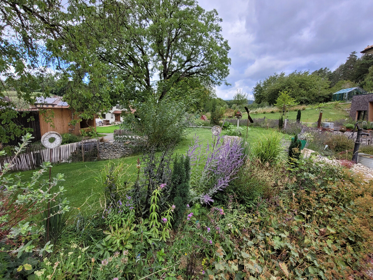 Die Bodenseegärten erzählen ihre Geschichte Gartenpraxis