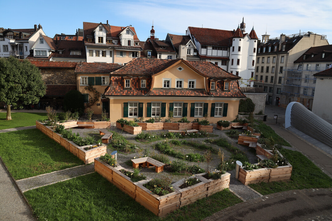 Neu im Netzwerk Bodenseegärten: Klostergarten St. Gallen