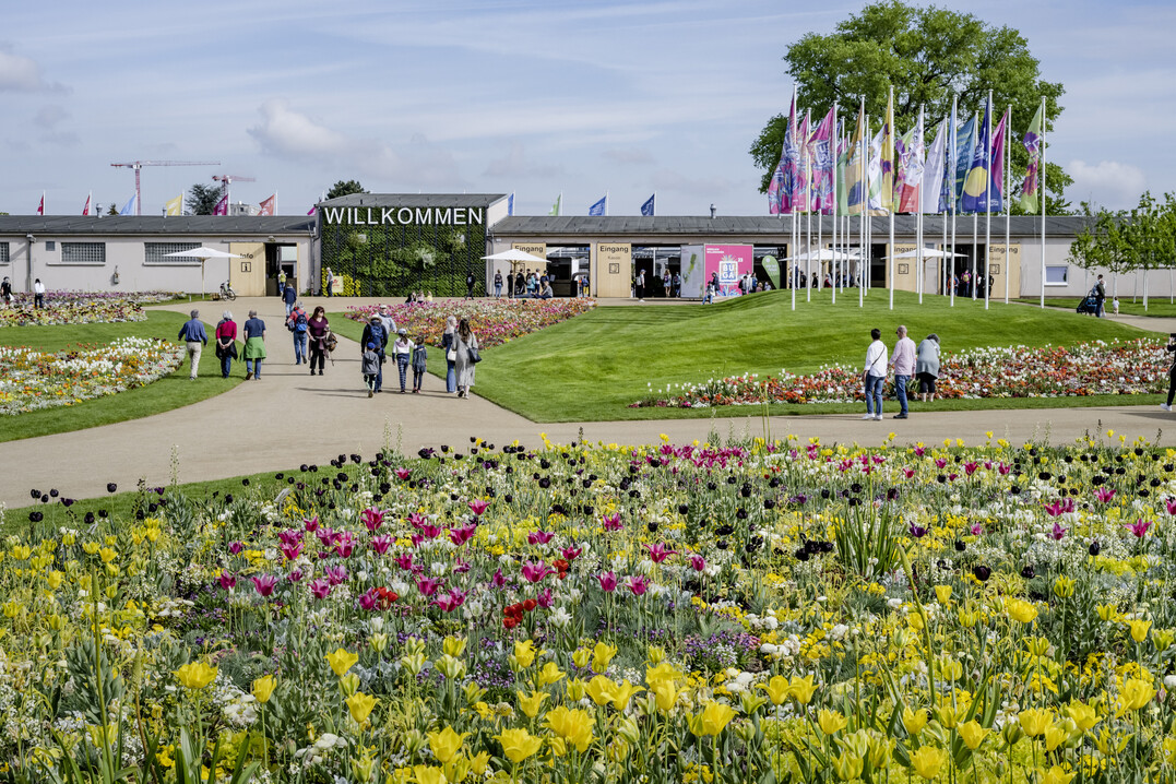Vor einem Jahr noch gut besucht: Die BUGA Mannheim 2023