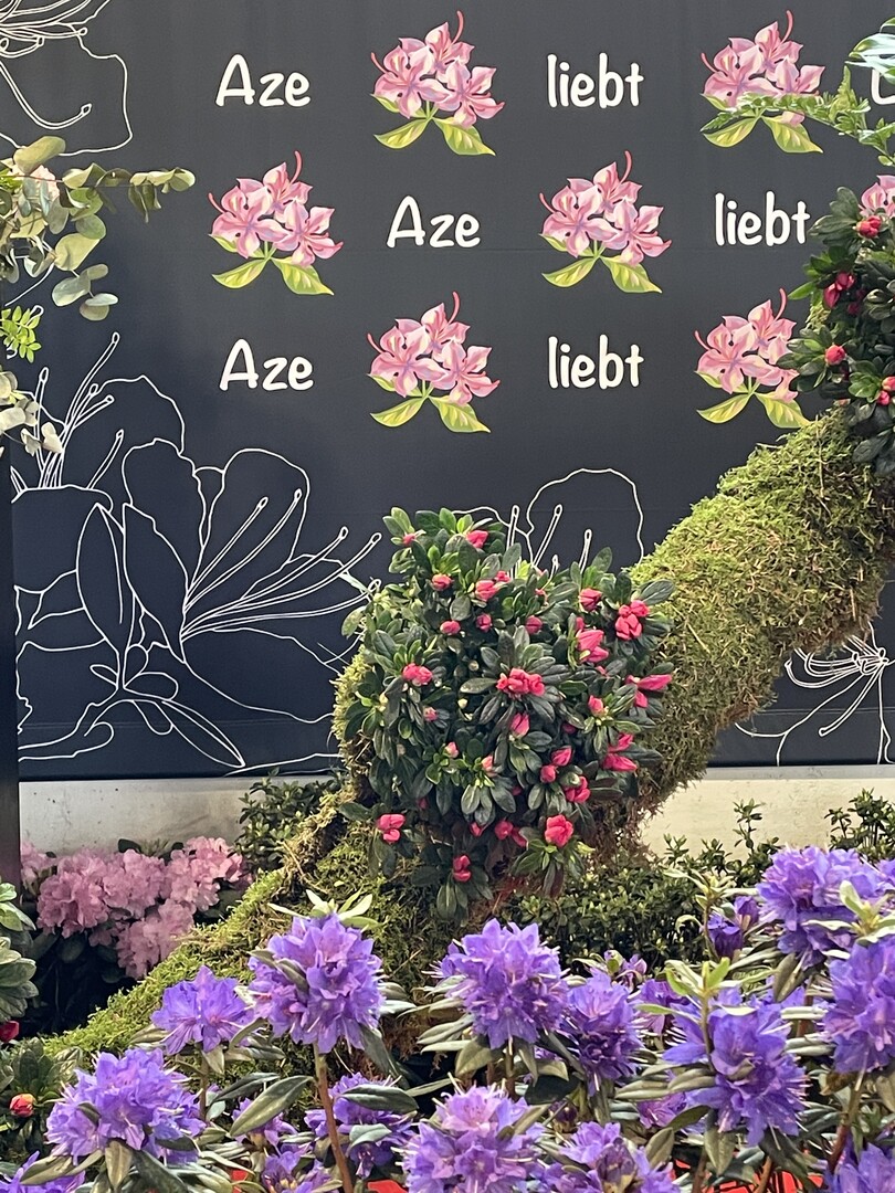 Aze liebt Lea ist das Motto der Schau.