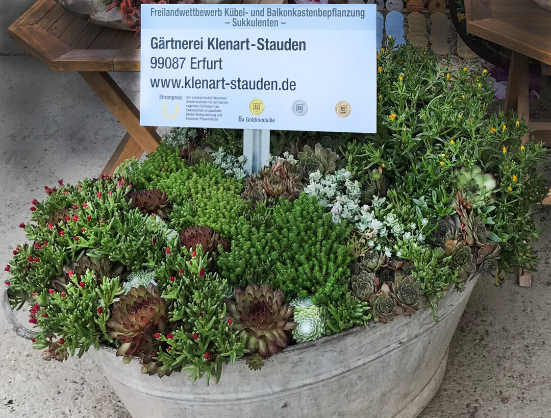 Für das hervorragende Sukkulenten-Sortiment erhielt Klenart Stauden den Ehrenpreis der Landwirtschaftskammer Niedersachsen.