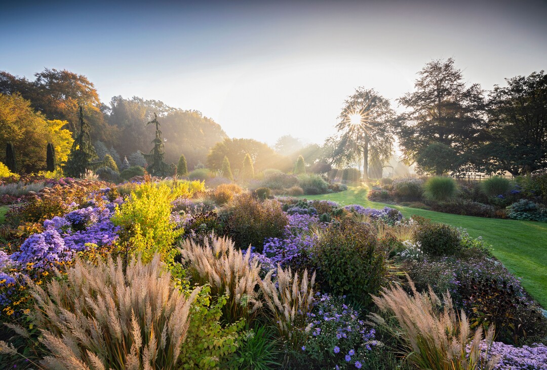 Richard Bloom mit Bressingham in the Mist gewann in der Kategorie "Schöne Gärten", IGPOTY 2019.
