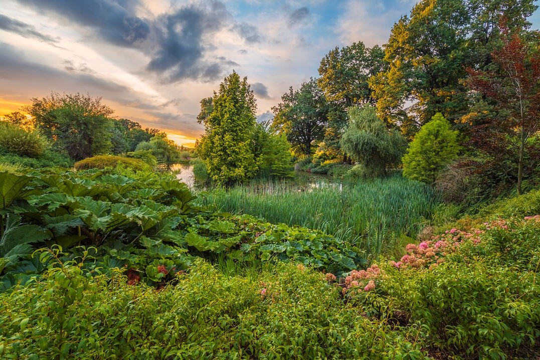 Greenery by the Pond - Siegerfoto in der Kategorie "Beautiful Gardens"