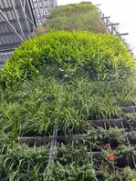 Am zehn Meter hohen Turm wuchsen auf zwei Seiten unter anderem Scabiosa, Teppichphlox und Salbei in 1.700 Filztöpfen, eingesteckt in ein sogenanntes Coresystem aus Metall.