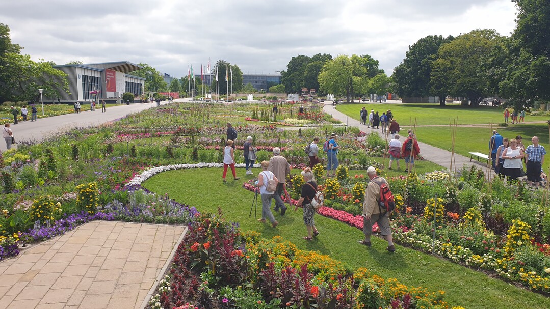 Die Sommerbepflanzung vom großen Blumenbeet im egapark wurde für die BUGA von Christine Orel geplant.