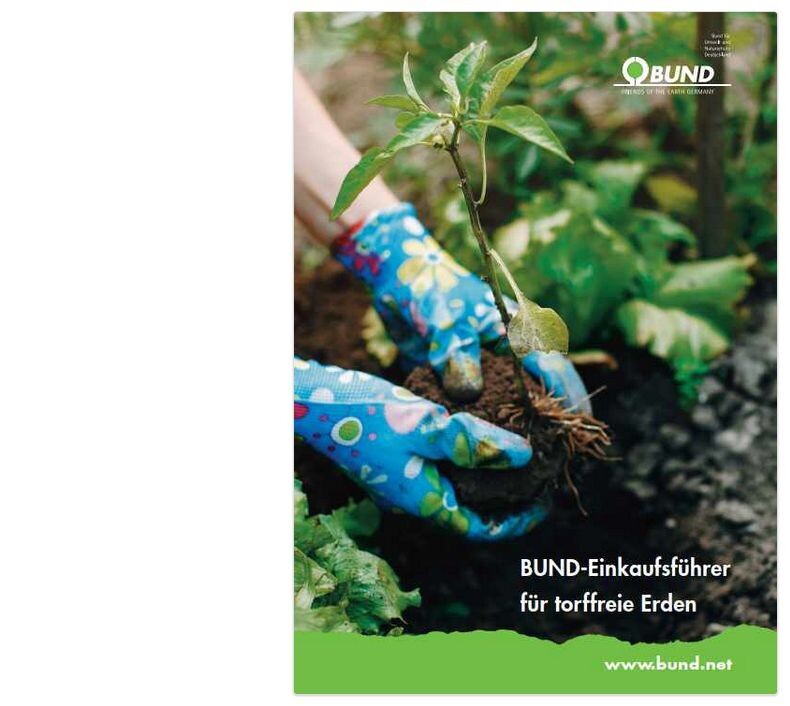 Torffrei gärtnern Moore und Klima schützen Gartenpraxis
